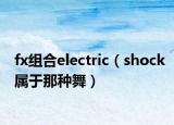 fx组合electric（shock属于那种舞）