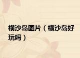 横沙岛图片（横沙岛好玩吗）