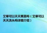 艾草可以天天熏蒸吗（艾草可以天天洗头吗详细介绍）