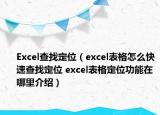 Excel查找定位（excel表格怎么快速查找定位 excel表格定位功能在哪里介绍）