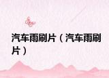 汽车雨刷片（汽车雨刷片）