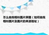怎么查找相似图片原图（如何查找相似图片及图片的来源地址）