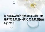 iphone12如何开启sa5g功能（苹果12怎么设置sa模式 怎么设置独立5g介绍）