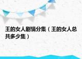 王的女人剧情分集（王的女人总共多少集）