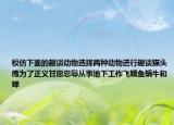 模仿下面的趣谈动物选择两种动物进行趣谈猫头鹰为了正义甘愿忍辱从事地下工作飞蛾鱼蜗牛和蝉