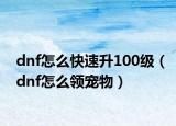 dnf怎么快速升100级（dnf怎么领宠物）