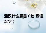 迷汉什么意思（迷 汉语汉字）