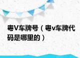 粤V车牌号（粤v车牌代码是哪里的）
