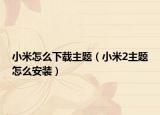 小米怎么下载主题（小米2主题怎么安装）