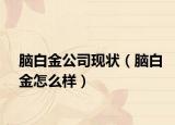 脑白金公司现状（脑白金怎么样）