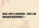 地球上有什么自然资源（地球上重要的自然资源有哪些?）