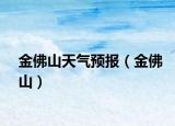 金佛山天气预报（金佛山）