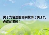 关于九色鹿的真实故事（关于九色鹿的资料）