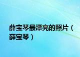 薛宝琴最漂亮的照片（薛宝琴）