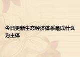 今日更新生态经济体系是以什么为主体