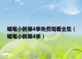 蜡笔小新第4季免费观看全集（蜡笔小新第4季）