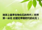 地球上最早生物化石的年代（世界第一朵花 白垩纪早期时代的化石）