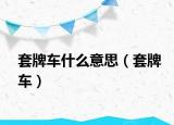 套牌车什么意思（套牌车）