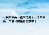 一只叫木头一直叫马尾（一个叫木头一个聊马尾是什么意思）