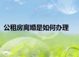 公租房离婚是如何办理