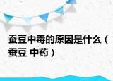 蚕豆中毒的原因是什么（蚕豆 中药）