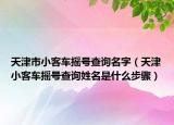 天津市小客车摇号查询名字（天津小客车摇号查询姓名是什么步骤）