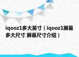 iqooz1多大英寸（iqooz1屏幕多大尺寸 屏幕尺寸介绍）