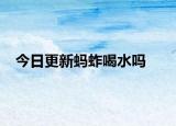 今日更新蚂蚱喝水吗