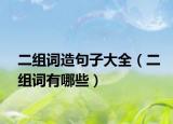 二组词造句子大全（二组词有哪些）