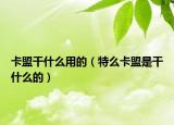 卡盟干什么用的（特么卡盟是干什么的）