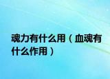 魂力有什么用（血魂有什么作用）