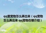 qq里宠物怎么弄出来（qq宠物怎么弄出来 qq宠物在哪介绍）