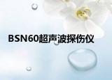 BSN60超声波探伤仪