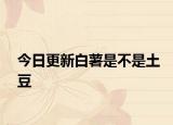 今日更新白薯是不是土豆