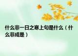 什么非一日之寒上句是什么（什么非成是）