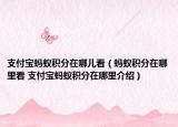 支付宝蚂蚁积分在哪儿看（蚂蚁积分在哪里看 支付宝蚂蚁积分在哪里介绍）
