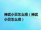 神武小贝怎么得（神武小贝怎么得）