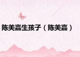 陈美嘉生孩子（陈美嘉）