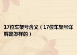 17位车架号含义（17位车架号详解是怎样的）