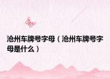 沧州车牌号字母（沧州车牌号字母是什么）