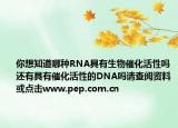 你想知道哪种RNA具有生物催化活性吗还有具有催化活性的DNA吗请查阅资料或点击www.pep.com.cn