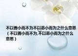 不以善小而不为不以恶小而为之什么意思（不以善小而不为,不以恶小而为之什么意思）