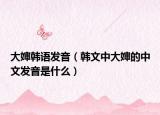 大婶韩语发音（韩文中大婶的中文发音是什么）