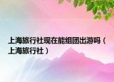 上海旅行社现在能组团出游吗（上海旅行社）