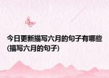 今日更新描写六月的句子有哪些(描写六月的句子)