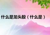 什么是龙头股（什么是）