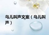 鸟儿叫声文案（鸟儿叫声）