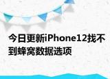 今日更新iPhone12找不到蜂窝数据选项