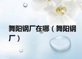 舞阳钢厂在哪（舞阳钢厂）