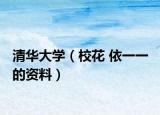 清华大学（校花 依一一 的资料）